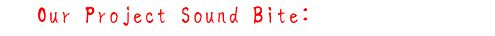 5, Our Project Sound Bite: